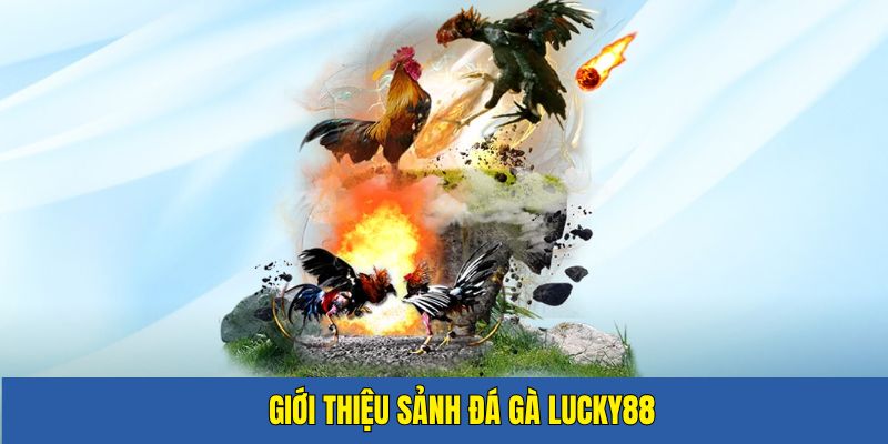 Sơ lược đá gà LUCKY88